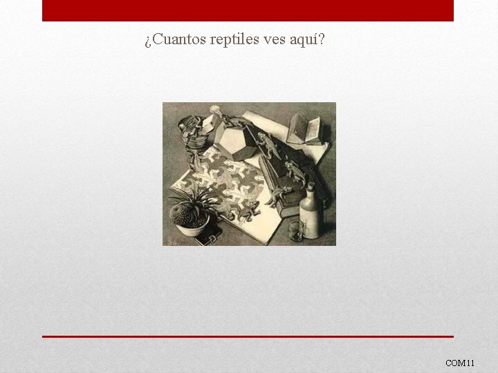 ¿Cuantos reptiles ves aquí? COM 11 