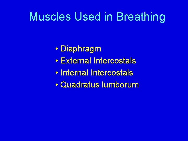 Muscles Used in Breathing • Diaphragm • External Intercostals • Internal Intercostals • Quadratus