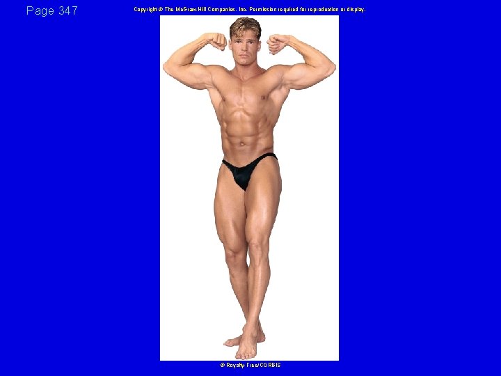 Page 347 Copyright © The Mc. Graw-Hill Companies, Inc. Permission required for reproduction or