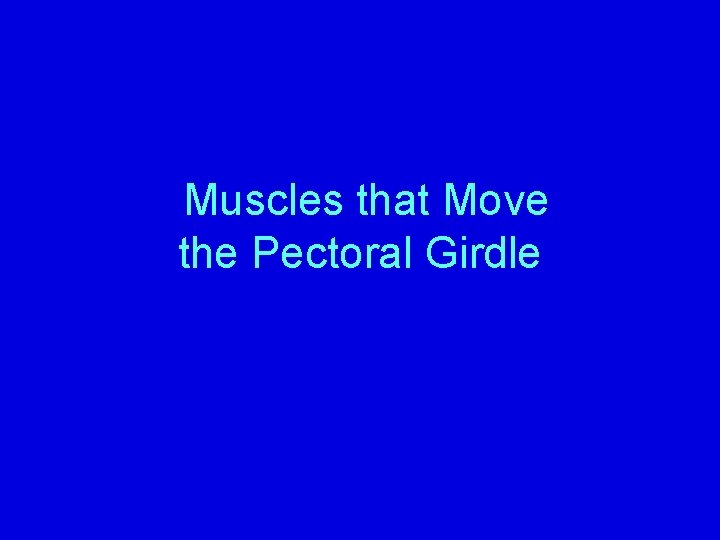 Muscles that Move the Pectoral Girdle 
