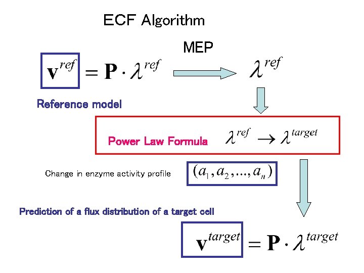 ＥＣＦ Algorithm MEP Reference model Power Law Formula Change in enzyme activity profile Prediction