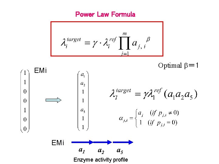 Power Law Formula Optimal b＝ 1 EMi a 1 a 2 a 5 Enzyme