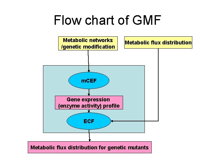 Flow chart of GMF Metabolic networks /genetic modification Metabolic flux distribution m. CEF Gene