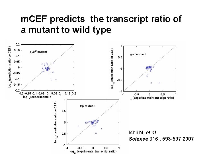 m. CEF predicts the transcript ratio of a mutant to wild type Ishii N,