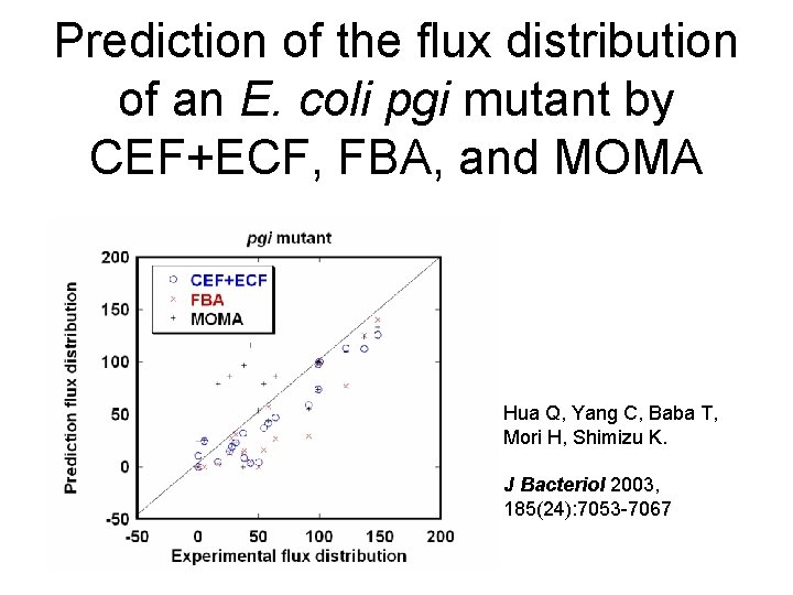 Prediction of the flux distribution of an E. coli pgi mutant by CEF+ECF, FBA,