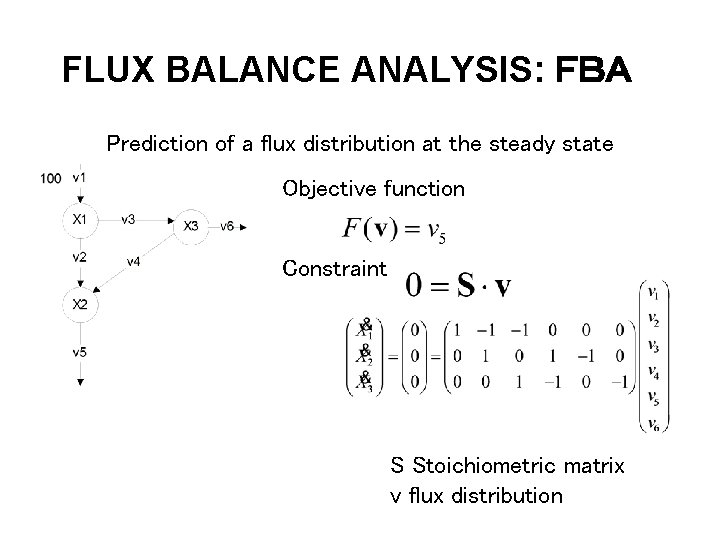 FLUX BALANCE ANALYSIS: ＦＢＡ Prediction of a flux distribution at the steady state Objective