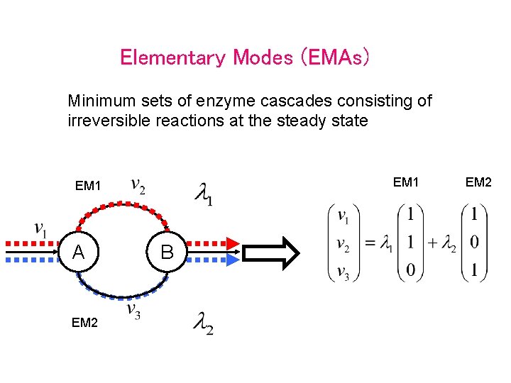 Elementary Modes (EMAs) Minimum sets of enzyme cascades consisting of irreversible reactions at the