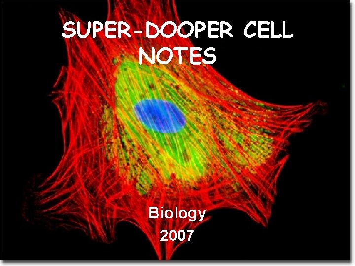 SUPER-DOOPER CELL NOTES Biology 2007 