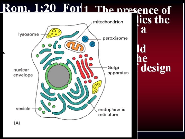 Rom. 1: 20 For 1. since creation Thethe presence of Paul’s Journey II of