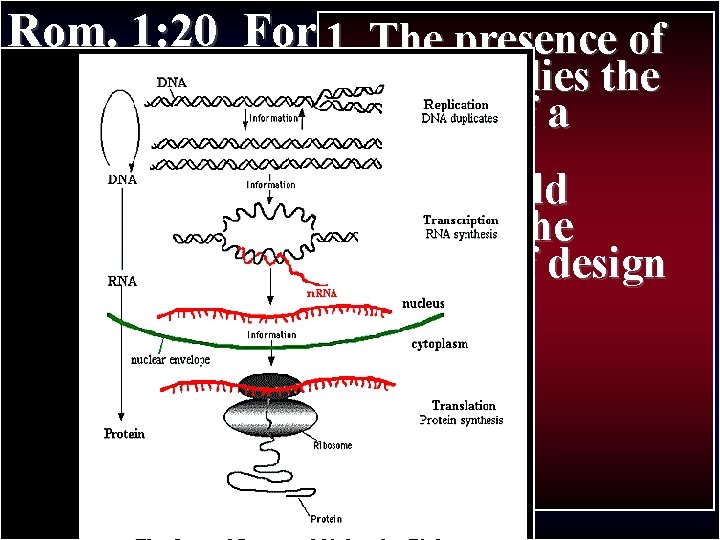 Rom. 1: 20 For 1. since creation Thethe presence of Paul’s Journey II of