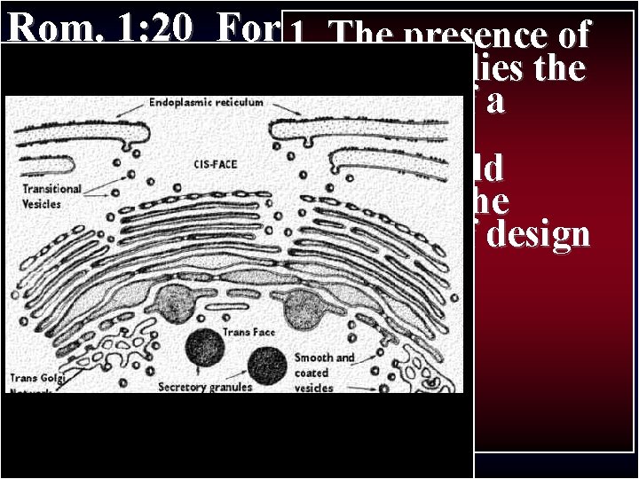 Rom. 1: 20 For 1. since creation Thethe presence of Paul’s Journey II of