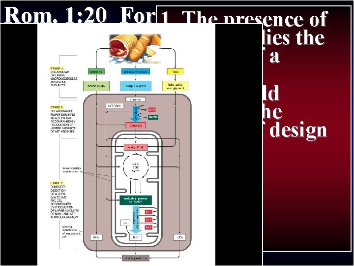 Rom. 1: 20 For 1. since creation Thethe presence of Paul’s Journey II of