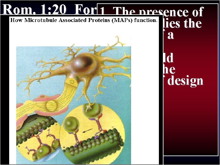 Rom. 1: 20 For 1. since creation Thethe presence of Paul’s Journey II of