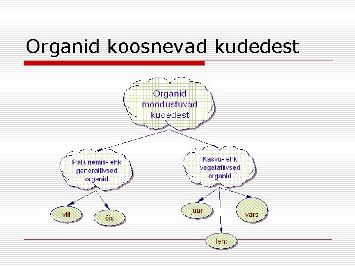 Organid koosnevad kudedest Organid koosnevad kudedest