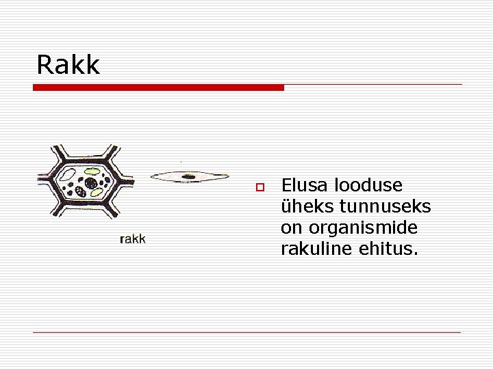 Rakk o Elusa looduse üheks tunnuseks on organismide rakuline ehitus. Rakk o Elusa looduse üheks tunnuseks on organismide rakuline ehitus.