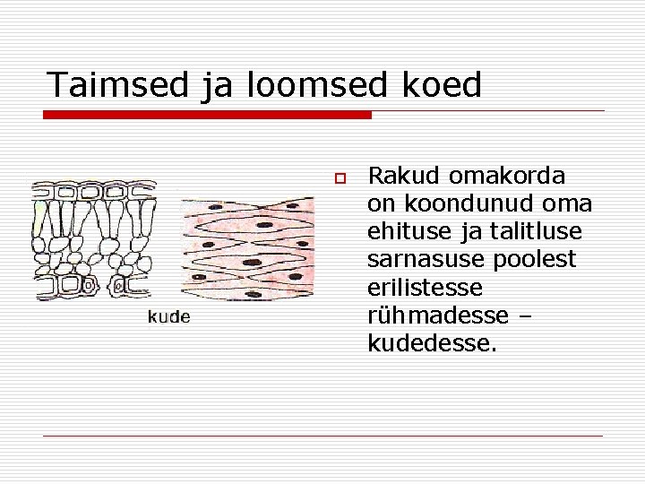 Taimsed ja loomsed koed o Rakud omakorda on koondunud oma ehituse ja talitluse sarnasuse Taimsed ja loomsed koed o Rakud omakorda on koondunud oma ehituse ja talitluse sarnasuse
