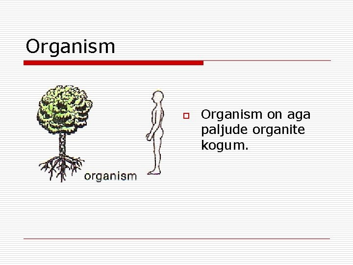 Organism on aga paljude organite kogum. Organism on aga paljude organite kogum.
