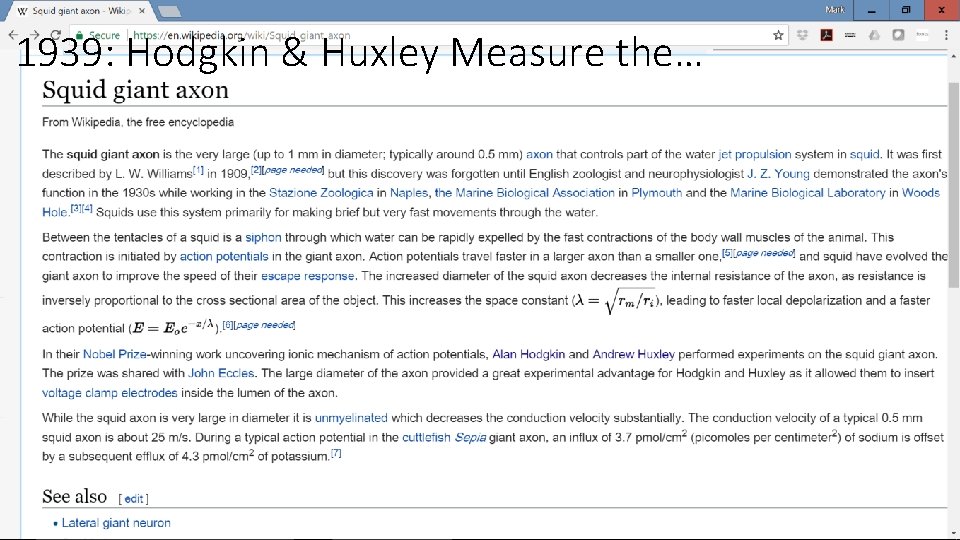 1939: Hodgkin & Huxley Measure the… 
