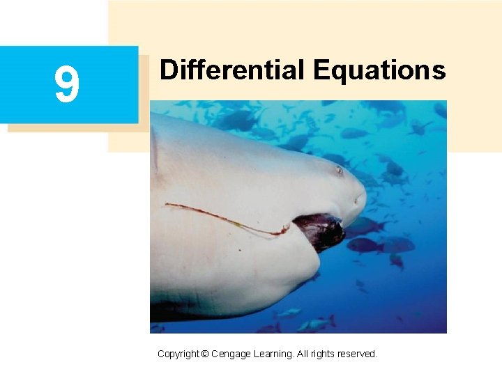 9 Differential Equations Copyright © Cengage Learning. All rights reserved. 
