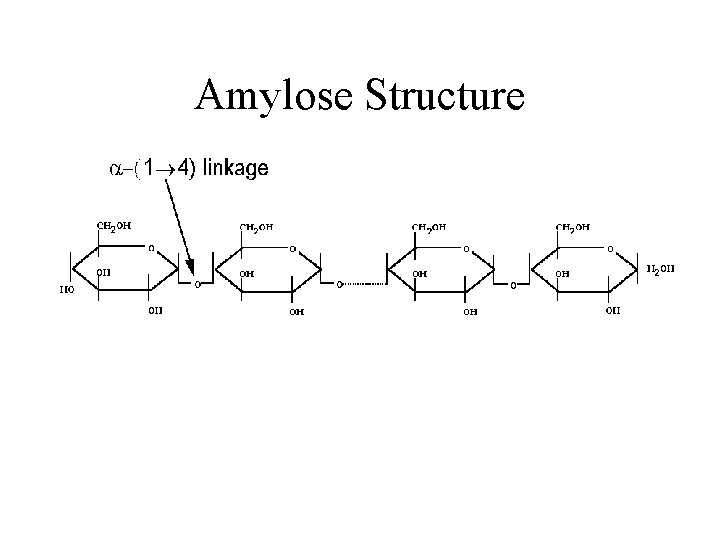 Amylose Structure 