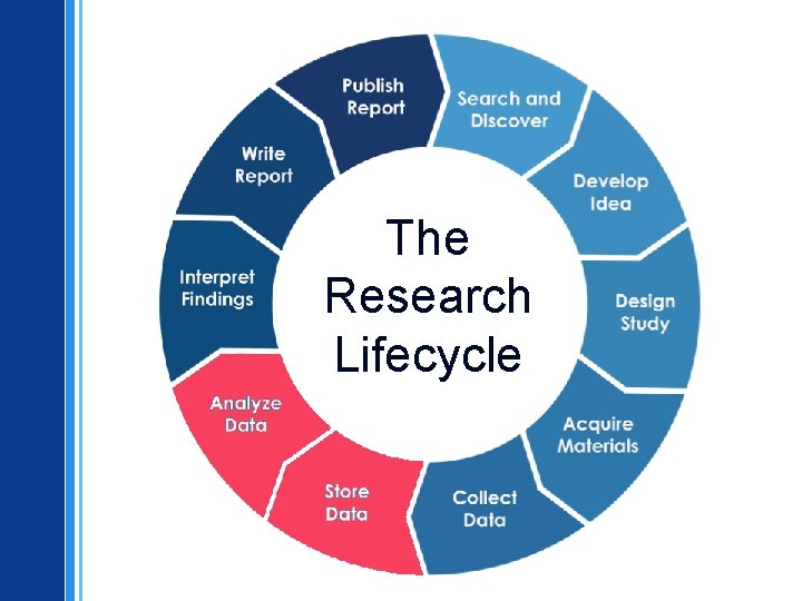 The Research Lifecycle 