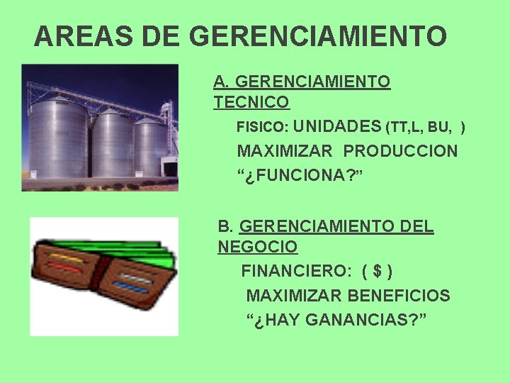 AREAS DE GERENCIAMIENTO A. GERENCIAMIENTO TECNICO FISICO: UNIDADES (TT, L, BU, ) MAXIMIZAR PRODUCCION