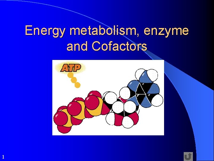 Energy metabolism, enzyme and Cofactors 1 