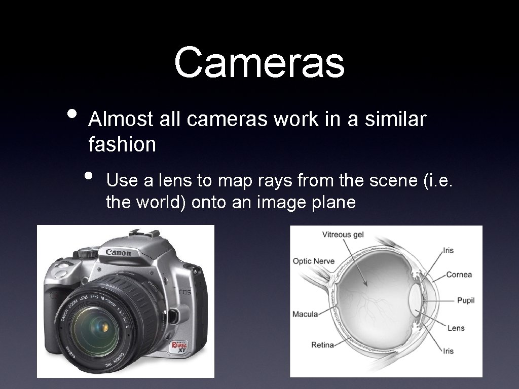 Cameras • Almost all cameras work in a similar fashion • Use a lens