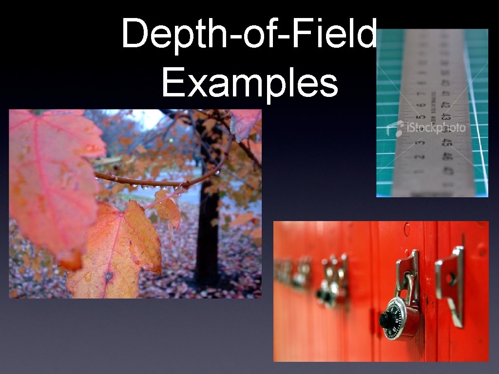 Depth-of-Field Examples 