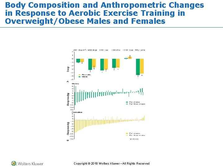 Body Composition and Anthropometric Changes in Response to Aerobic Exercise Training in Overweight/Obese Males