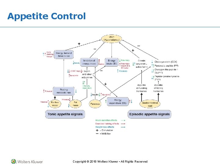 Appetite Control Copyright © 2018 Wolters Kluwer • All Rights Reserved 