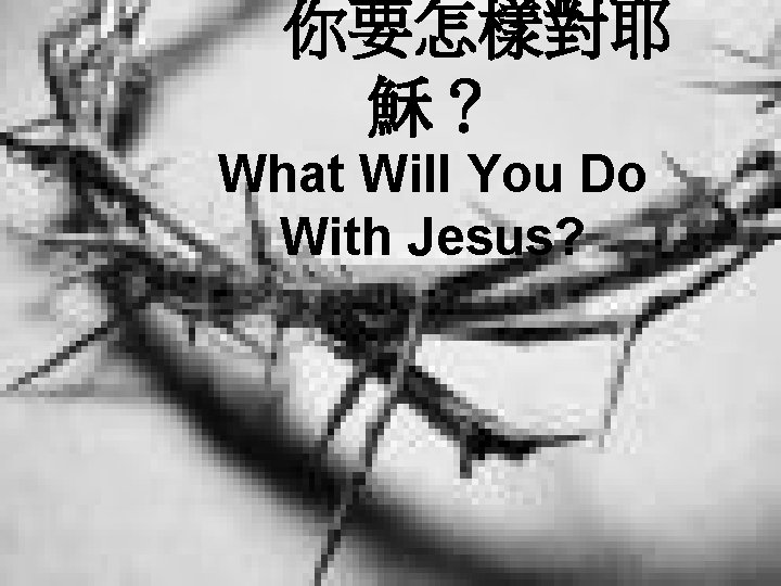 你要怎樣對耶 穌？ What Will You Do With Jesus? 