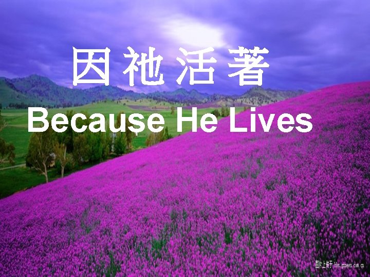 因祂活著 Because He Lives 