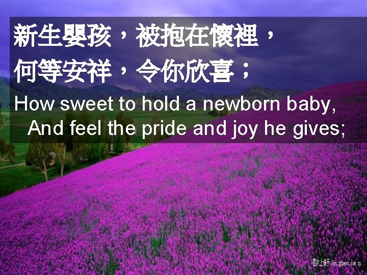 新生嬰孩，被抱在懷裡， 何等安祥，令你欣喜； How sweet to hold a newborn baby, And feel the pride and