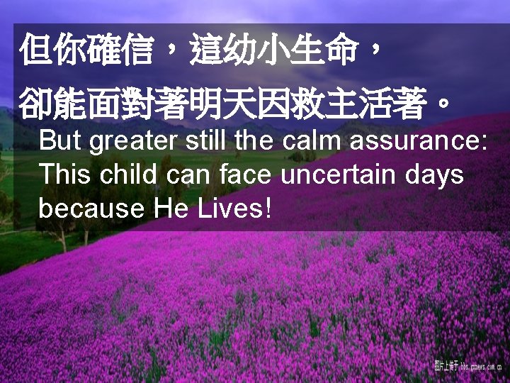 但你確信，這幼小生命， 卻能面對著明天因救主活著。 But greater still the calm assurance: This child can face uncertain days
