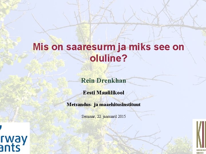 Mis on saaresurm ja miks see on oluline? Rein Drenkhan Eesti Maaülikool Metsandus- ja Mis on saaresurm ja miks see on oluline? Rein Drenkhan Eesti Maaülikool Metsandus- ja