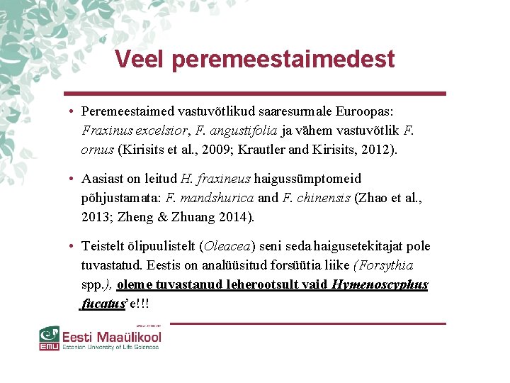Veel peremeestaimedest • Peremeestaimed vastuvõtlikud saaresurmale Euroopas: Fraxinus excelsior, F. angustifolia ja vähem vastuvõtlik Veel peremeestaimedest • Peremeestaimed vastuvõtlikud saaresurmale Euroopas: Fraxinus excelsior, F. angustifolia ja vähem vastuvõtlik