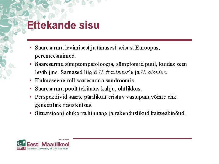 Ettekande sisu • Saaresurma levimisest ja tänasest seisust Euroopas, peremeestaimed. • Saaresurma sümptompatoloogia, sümptomid Ettekande sisu • Saaresurma levimisest ja tänasest seisust Euroopas, peremeestaimed. • Saaresurma sümptompatoloogia, sümptomid