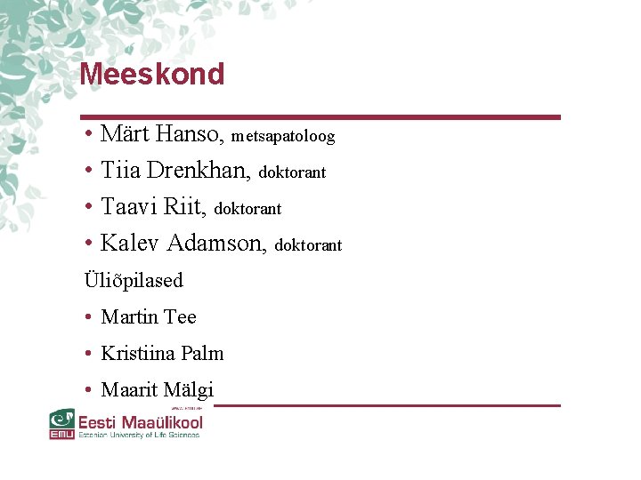 Meeskond • Märt Hanso, metsapatoloog • Tiia Drenkhan, doktorant • Taavi Riit, doktorant • Meeskond • Märt Hanso, metsapatoloog • Tiia Drenkhan, doktorant • Taavi Riit, doktorant •