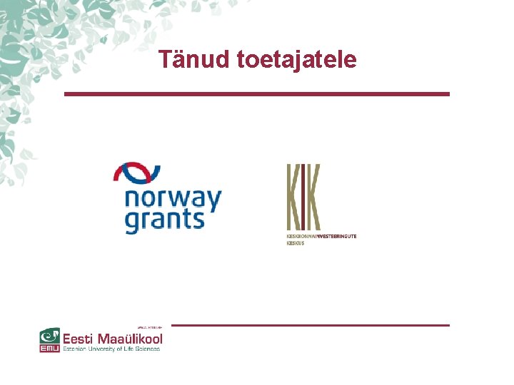 Tänud toetajatele Tänud toetajatele