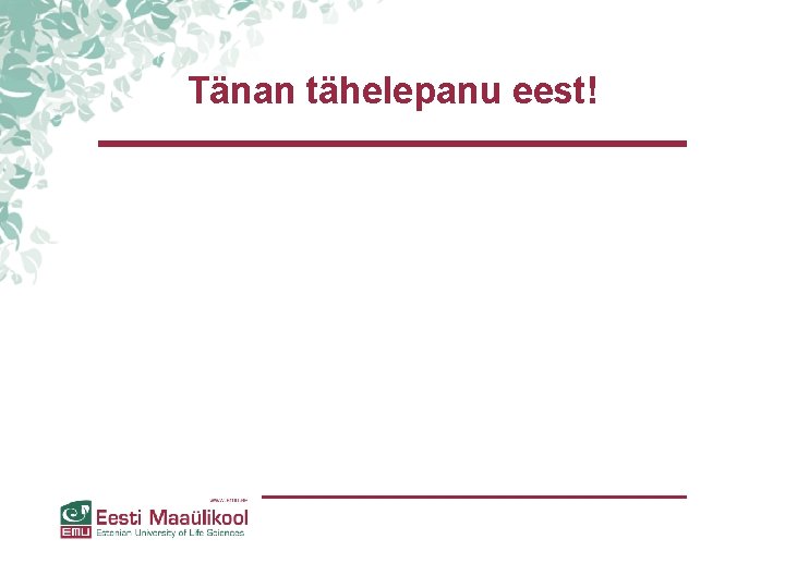 Tänan tähelepanu eest! Tänan tähelepanu eest!
