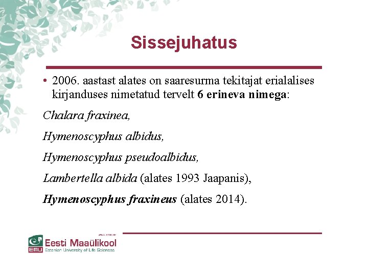 Sissejuhatus • 2006. aastast alates on saaresurma tekitajat erialalises kirjanduses nimetatud tervelt 6 erineva Sissejuhatus • 2006. aastast alates on saaresurma tekitajat erialalises kirjanduses nimetatud tervelt 6 erineva