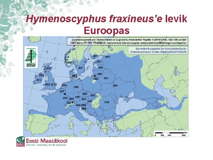 Hymenoscyphus fraxineus’e levik Euroopas Hymenoscyphus fraxineus’e levik Euroopas
