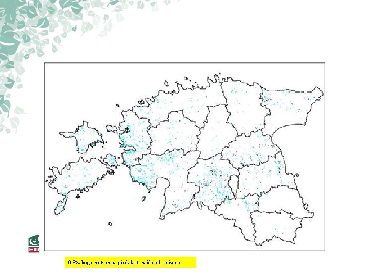 Harilik saar Eestis peapuuliigina 0, 8% kogu metsamaa pindalast, näidatud sinisena Harilik saar Eestis peapuuliigina 0, 8% kogu metsamaa pindalast, näidatud sinisena