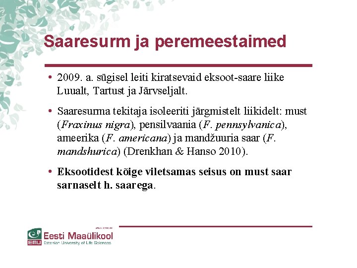 Saaresurm ja peremeestaimed • 2009. a. sügisel leiti kiratsevaid eksoot-saare liike Luualt, Tartust ja Saaresurm ja peremeestaimed • 2009. a. sügisel leiti kiratsevaid eksoot-saare liike Luualt, Tartust ja