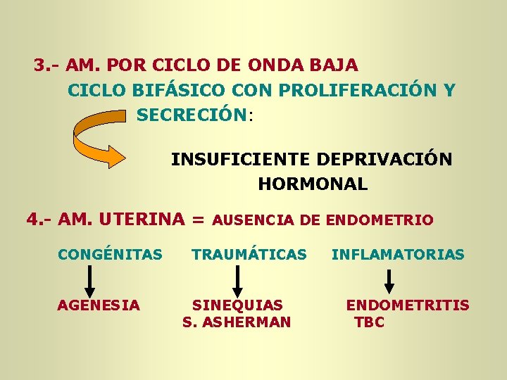 3. - AM. POR CICLO DE ONDA BAJA CICLO BIFÁSICO CON PROLIFERACIÓN Y SECRECIÓN: 3. - AM. POR CICLO DE ONDA BAJA CICLO BIFÁSICO CON PROLIFERACIÓN Y SECRECIÓN: