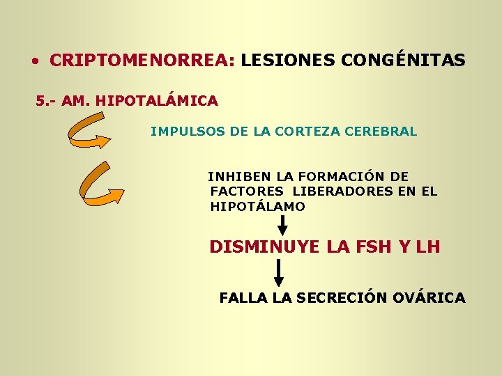 • CRIPTOMENORREA: LESIONES CONGÉNITAS 5. - AM. HIPOTALÁMICA IMPULSOS DE LA CORTEZA CEREBRAL • CRIPTOMENORREA: LESIONES CONGÉNITAS 5. - AM. HIPOTALÁMICA IMPULSOS DE LA CORTEZA CEREBRAL