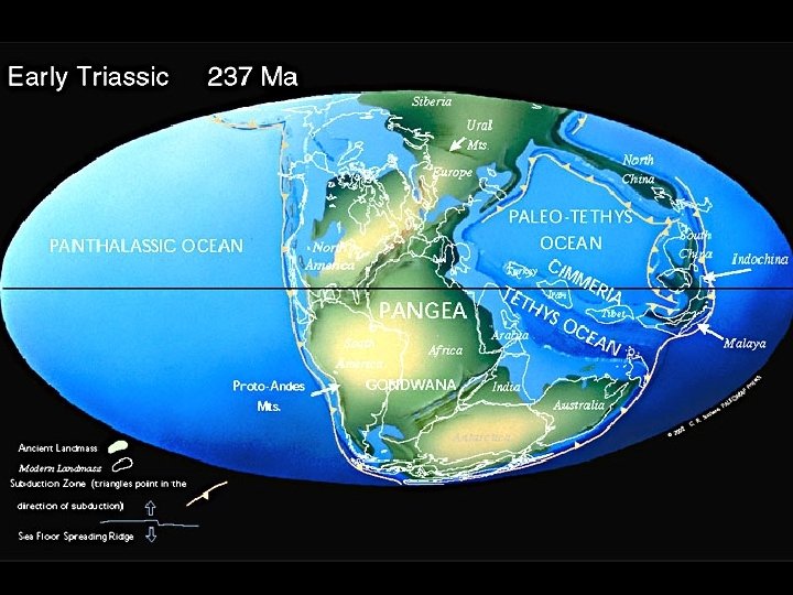 Triassic Deserts © Mike Benton/Bristol University 