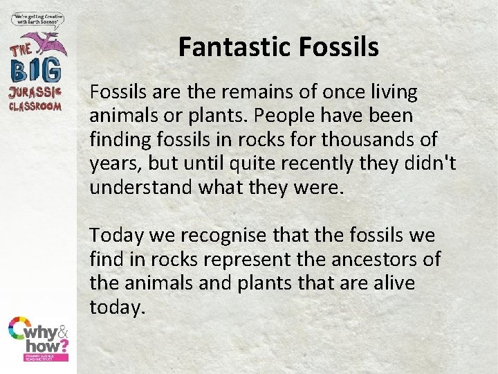 Fantastic Fossils are the remains of once living animals or plants. People have been