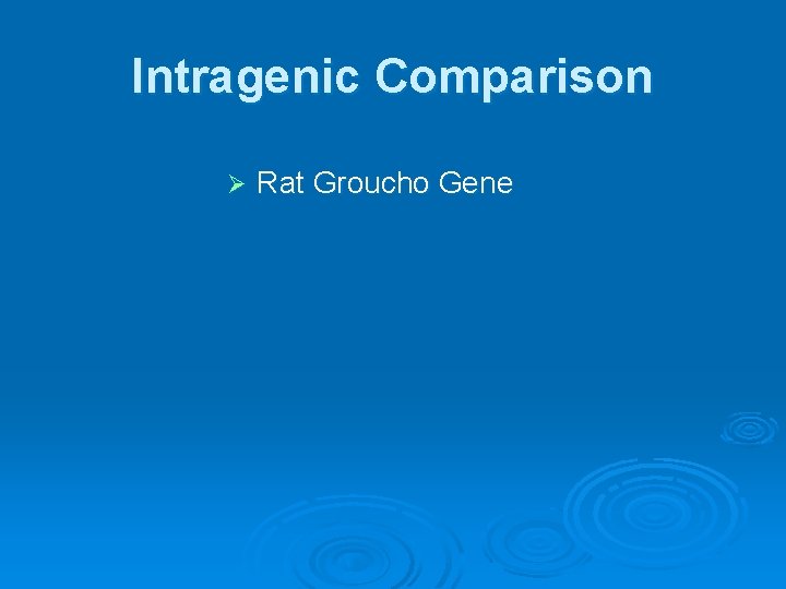 Intragenic Comparison Ø Rat Groucho Gene 